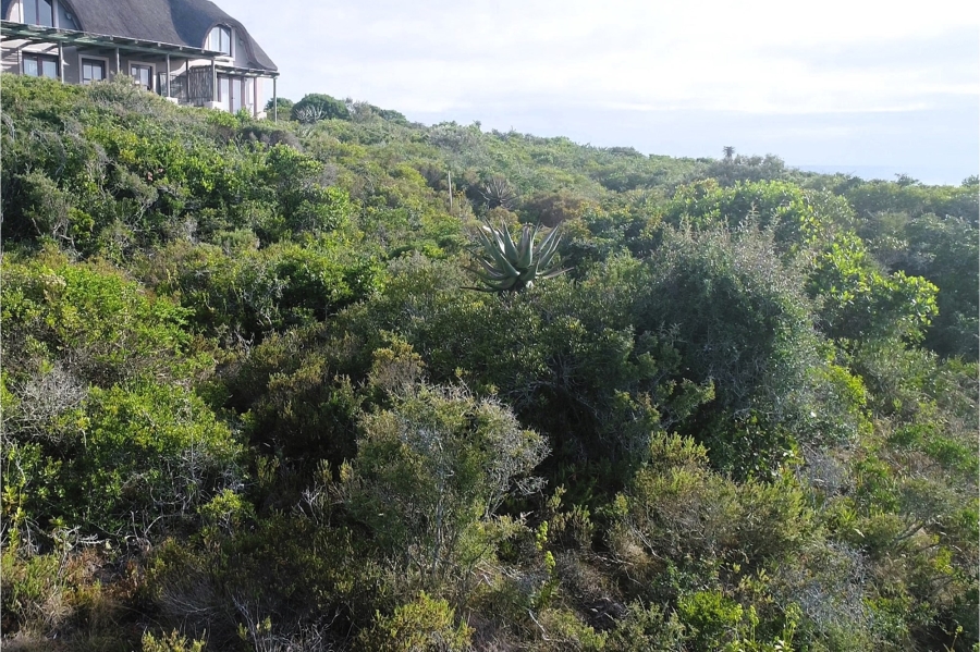 0 Bedroom Property for Sale in Springerbaai Eco Estate Western Cape